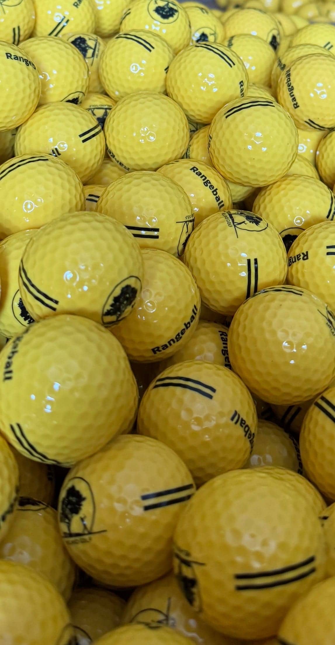 Gule rangeballer med Meland Golf-logo